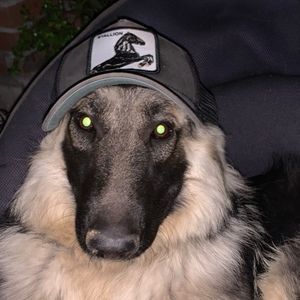 Meet your Posher, Abril